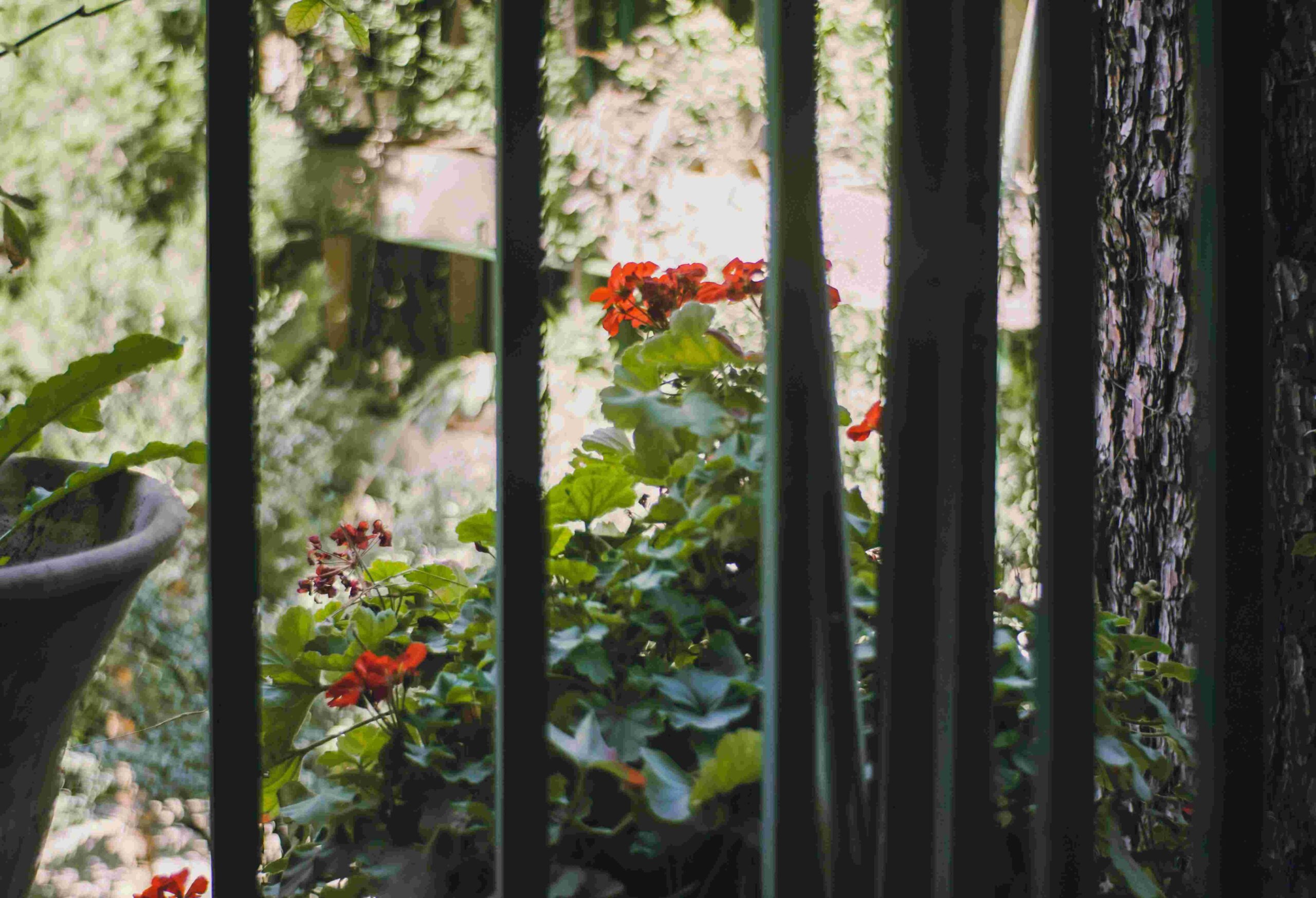 aluminum fences wholesale11