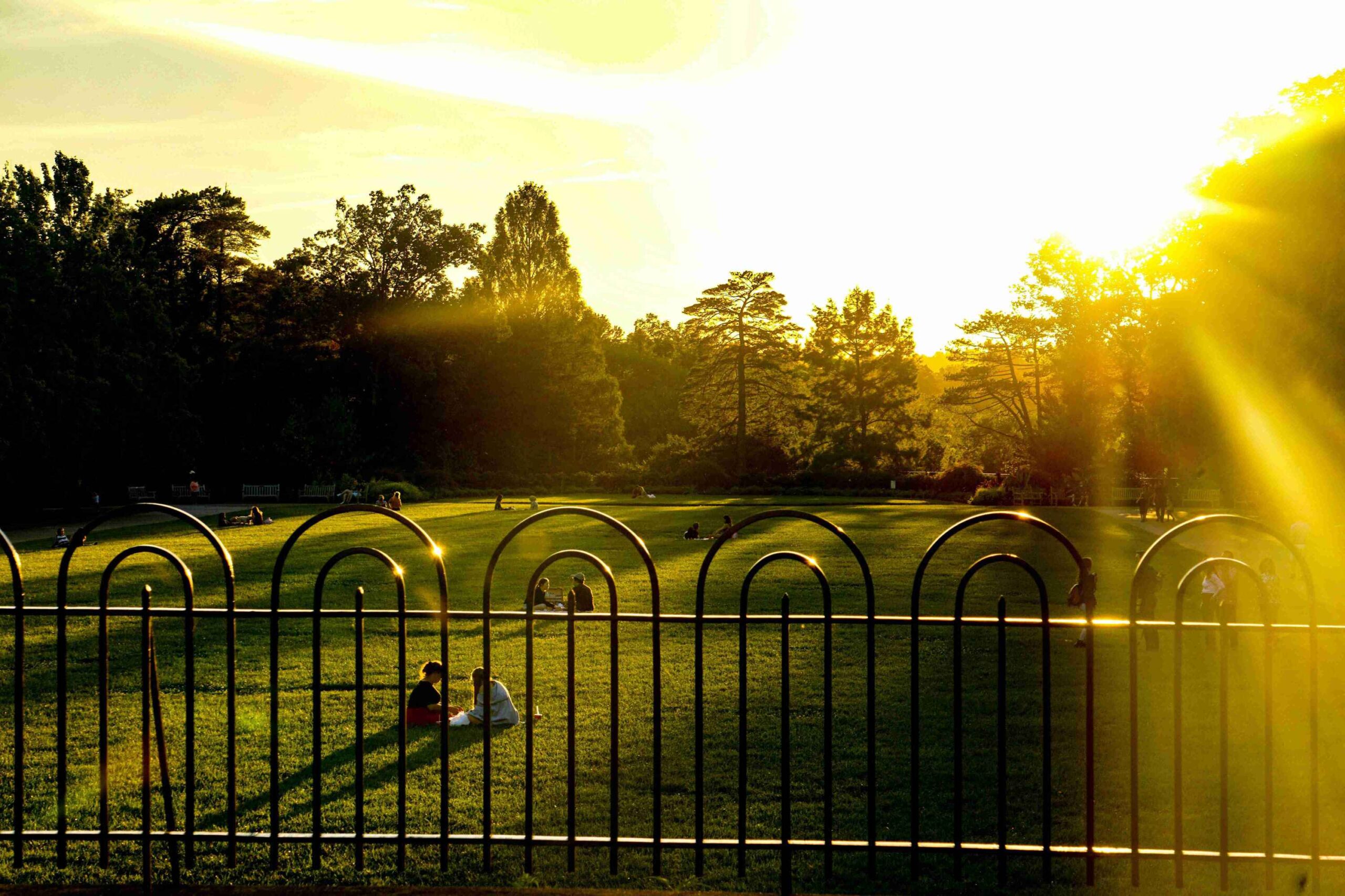 aluminum fences wholesale19