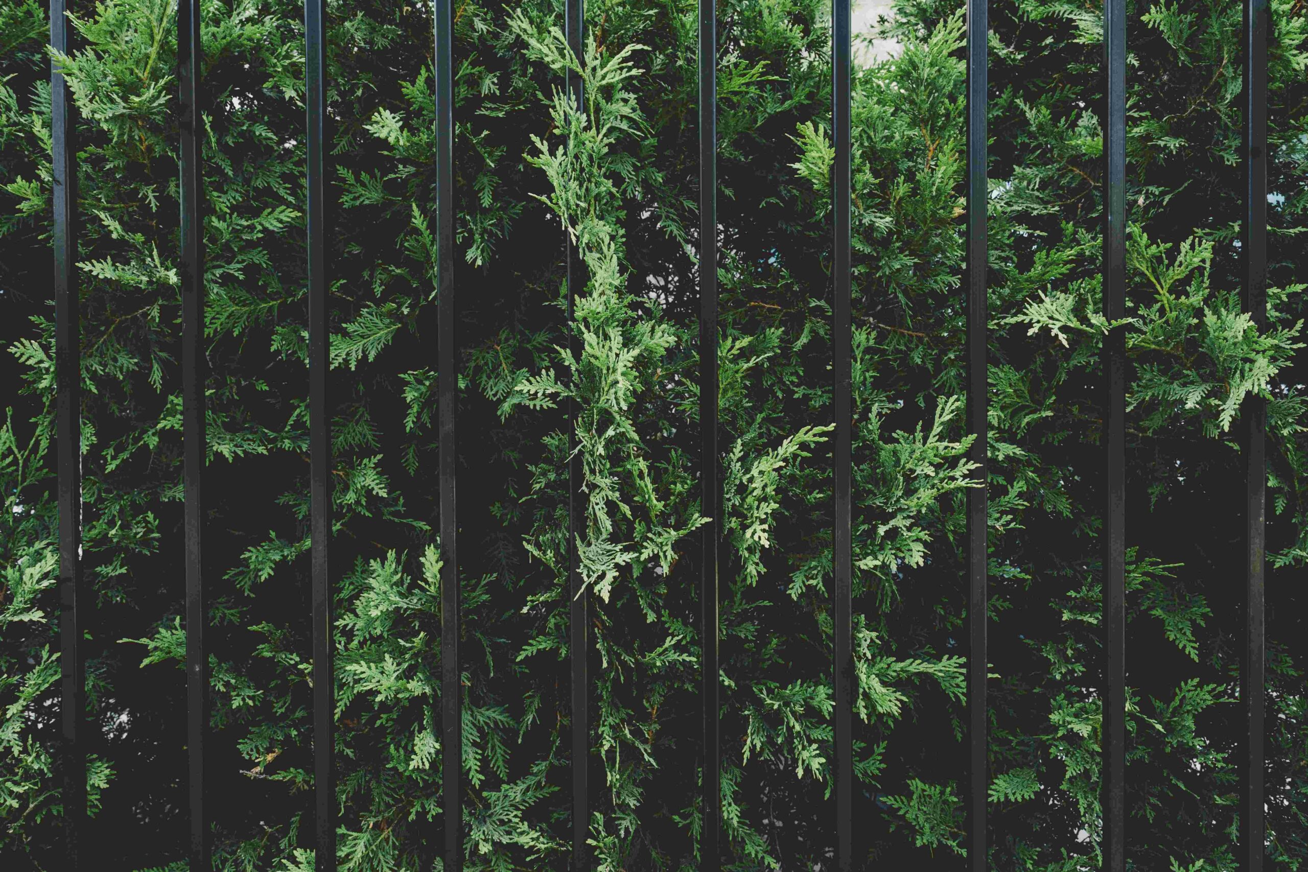 aluminum fences wholesale20