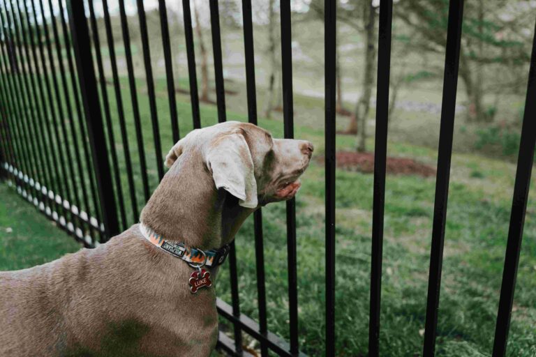 aluminum fences wholesale25