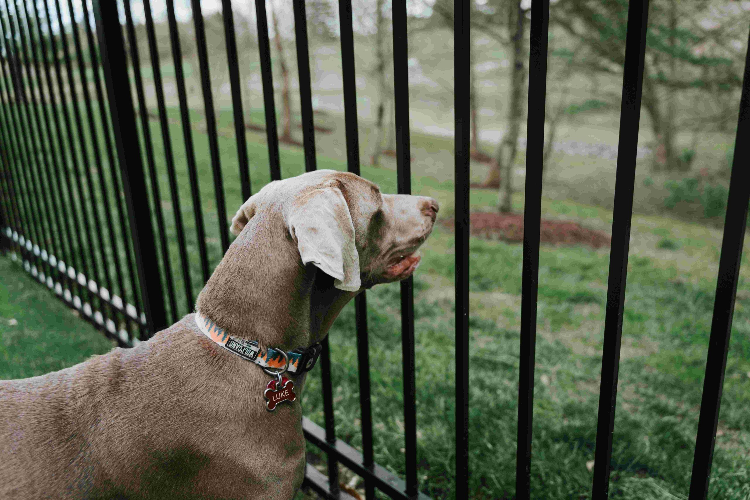 aluminum fences wholesale25