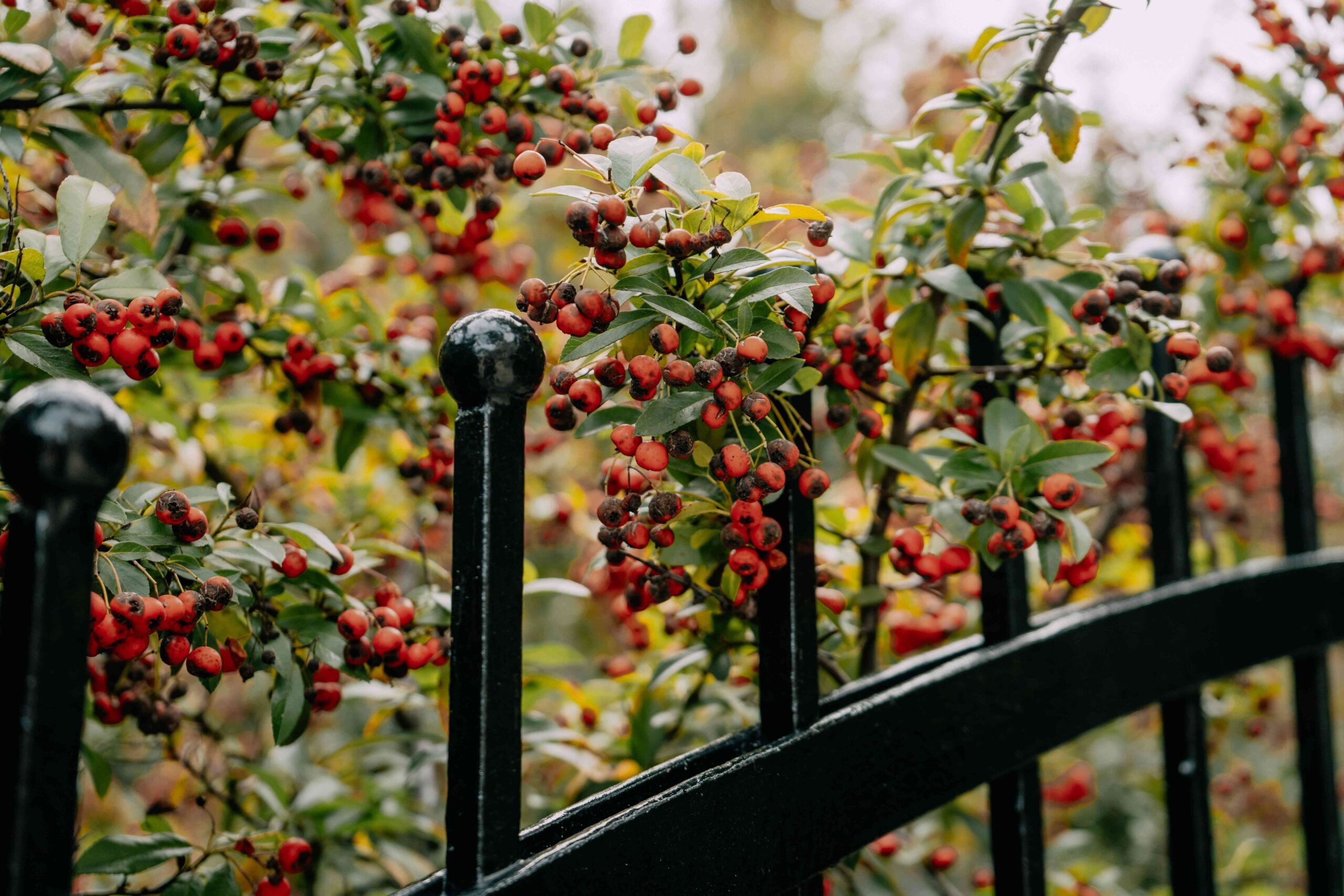 aluminum fences wholesale34