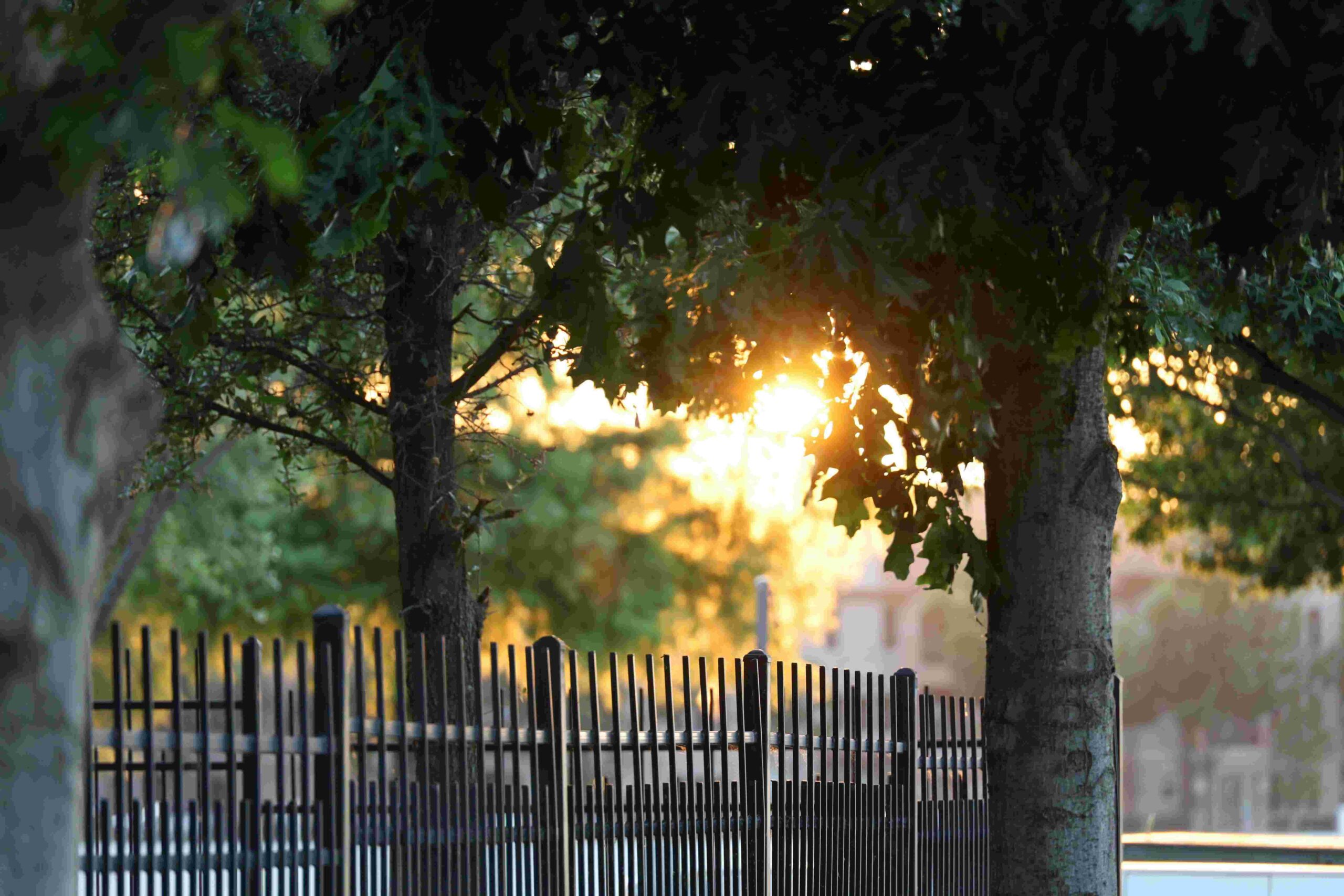 aluminum fences wholesale6